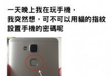 「用貓肉球」設定手機指紋解鎖,接下來讓他措手不及:從頭笑到尾XD