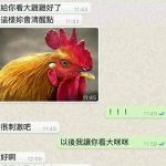 所以這樣清醒了嗎