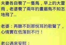 一對夫妻養了兩隻鳥,某天一隻飛走時…老公這樣安慰老婆