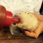 為什麼都拿甜辣醬罐「往包子屁股插」台中人秒懂的獨特吃法!