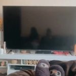 電視反射見「神秘男影坐旁邊」 , 她嚇傻:我家只有我自己!