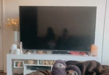 電視反射見「神秘男影坐旁邊」 , 她嚇傻:我家只有我自己!