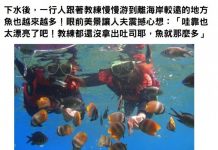 去浮潛還沒丟吐司「魚就游來一堆」正疑惑時,老婆急拉他出水面…兩個人都崩潰了😅😅