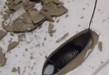 廁所被堵1年!主人「疏通10次」找不到原因 砸開蹲便器後「罪魁禍首現身」全場懵了:怎麼做到的?