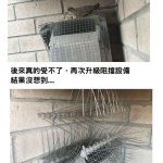 家裡的排氣管被鳥媽媽築巢…都已經拚命阻擋了,鳥媽媽也太堅持了吧!