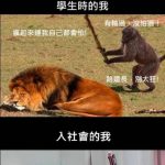 江湖走跳…人都是會變的!