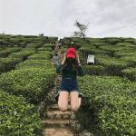 請幫我「P掉後面的白衣女」網友連P多張全歪樓:本人一定很崩潰