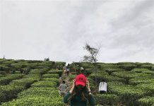 請幫我「P掉後面的白衣女」網友連P多張全歪樓:本人一定很崩潰