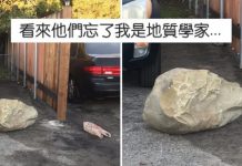惡鄰居用巨石擋她車道,地質女博士「開大絕」電到他們叫不敢!