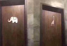 日本急上廁所只見「大象、長頸鹿」 他傻眼發問:哪間是男廁啦?