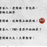 好樣的…這句回嗆實在太帥了!