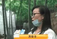 女子租山地養雞,效益好被房東看不慣「要求漲7倍房租」一租金高達20萬,要求被拒後私自放走租戶上千隻雞