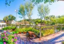 一家三口都能住!52歲阿貝買不起房,花120萬用6貨櫃為妻子造67坪「世外桃源」別墅,花草環繞走進如進仙境