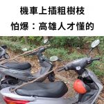 高雄人才懂!機車上插粗樹枝 ,當地人揭「真正用意」