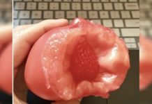 吃番茄送草莓?網友說出「驚人真相」…