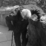 堅守50年孝道!91歲爺爺拄拐杖「爬山3小時」幫父母上香 「在墳前下跪磕頭」淚喊:明年不能來了