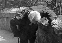 堅守50年孝道!91歲爺爺拄拐杖「爬山3小時」幫父母上香 「在墳前下跪磕頭」淚喊:明年不能來了