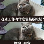 在家上班 沒有想像中那麼爽