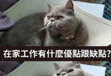 在家上班 沒有想像中那麼爽