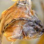 兒子生日婆婆送來5公斤乾魚!我「嫌腥臭」送鄰居 鄰居嘗過之後竟「連夜搬家」:我慌忙報了警