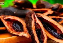 「它」毒性世界公認,臺灣人卻最愛吃!28歲年輕人一天吃3包,妻子無奈對他放棄治療