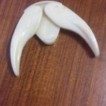 從阿嬤抽屜「翻出白色獠牙」當場愣住 內行人一看「狂推超好用」看電視必備