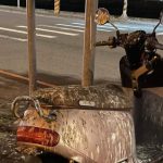 停路邊機車格…Gogoro慘遭「重新烤漆」!淪鳥界公廁「靠近細看」網震撼:太狠了