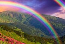 彩虹台語怎麼說?他發問後「一票年輕人全被考倒」 請出阿公阿嬤「公布正確解答」:薑還是老的辣