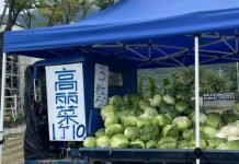 1個10元、3粒50!買高麗菜「結帳發現怪怪的」:我搞錯什麼? 網看完卻喊「老闆很佛心耶」
