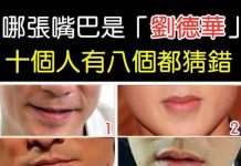 哪張嘴巴是「劉德華」?