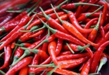 老父偷吃食物!「鄰居加朝天椒報復」惹肚痛他氣炸 嗆聲「走法律途徑」網笑:太厚臉皮