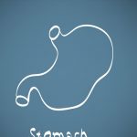 羊肉是胃癌的「催發劑」?醫生「2種肉最致癌」趁早撤下餐桌 胃腸疾病的人要遠離