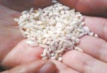 「老師讓帶一萬粒米」寶爸陪娃數到深夜,質問卻反遭「打臉」,網看雙方對話直呼:遇到好老師了