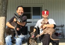 不被金錢束縛!曹蘭賣掉台北房產「改換500坪田地養老」務農規劃曝光 加碼曬「台東超寬敞庭院」全靠三輪車代步