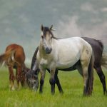 熬過今年!2023年「財運更紅火」的5生肖 窮日子到頭「翻身成龍鳳 」富甲一方