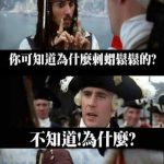 你可知道為什麼刺蝟鬆鬆的?