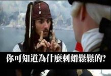 你可知道為什麼刺蝟鬆鬆的?