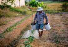 彰化老翁「過戶327坪土地」盼孫照顧「祖產一拿到手孫秒變臉」直接不養「父子聯手反擊」法官放大招幫忙了