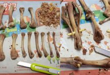 絕對想不到…肯德基吃完了還能這樣操作!