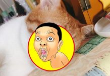 老媽緊張打電話來說「咪咪好像G掉了」,知道真相後大笑!