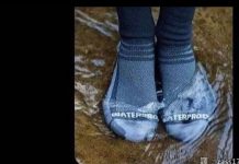 你在跟我開甚麼玩笑