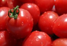 它是第一抗癌長壽果!維生素C含量「是蘋果的20倍」 堅持「5種吃法」多活十年:遠離癌症