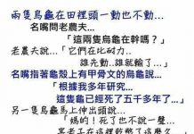 原來這故事是在告訴我們……..