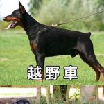 越野車跟改裝車的分別….