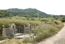 掃墓硬要跟!女友耍脾氣「腳酸逼他回家」:不然就分手 互槓到底「還好祖宗顯靈」結局網讚翻