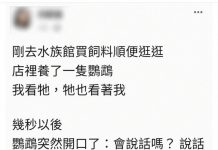 被鸚鵡嗆爆啊