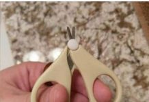 這麼短怎麼剪?他買剪刀「發現刀片僅1cm」傻眼想客訴 專業網友揭用途「真的超好用」:沒它不行