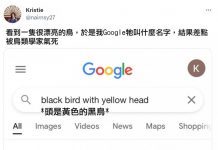 會被查詢結果氣死