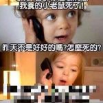 真的傻眼了