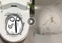 妹子PO網求助「馬桶驚現扭動紅色生物」用鹽酸也處理不了!專業網民:這跟所有住戶都有關!